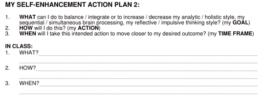 Self Enhancement Action Plan  (excerpt)